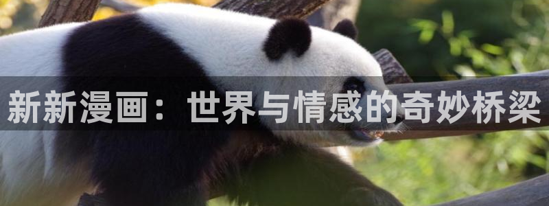 漫蛙旧版漫画app下载免费