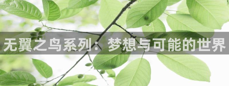 漫蛙漫画热门新作有哪些