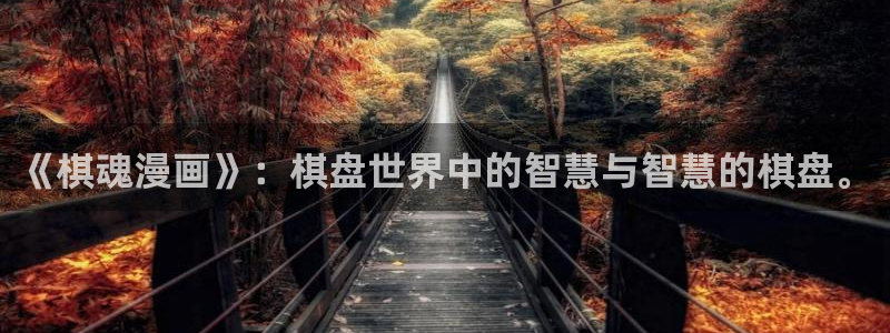 漫蛙2