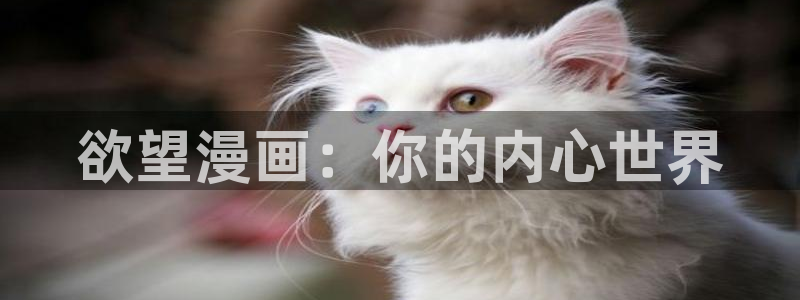 漫蛙怎么搜索