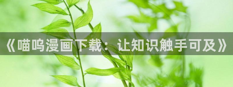 漫蛙安卓怎么下载