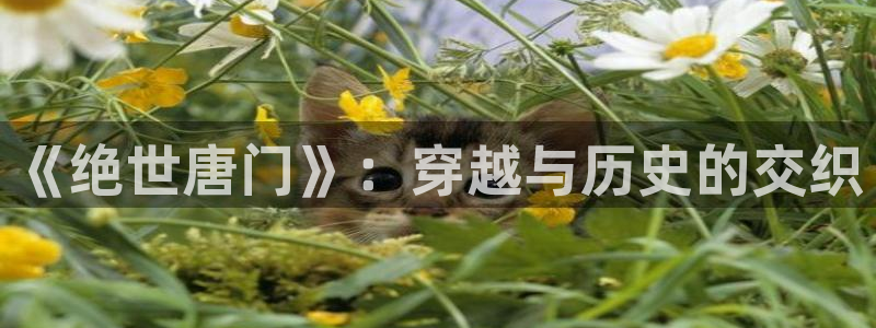 漫蛙密码